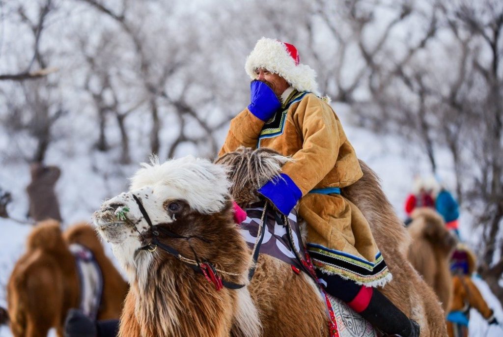 情境照，與本文無關。圖為錫林郭勒（內蒙古）牧民騎著駱駝參加駱駝選美。 新華社